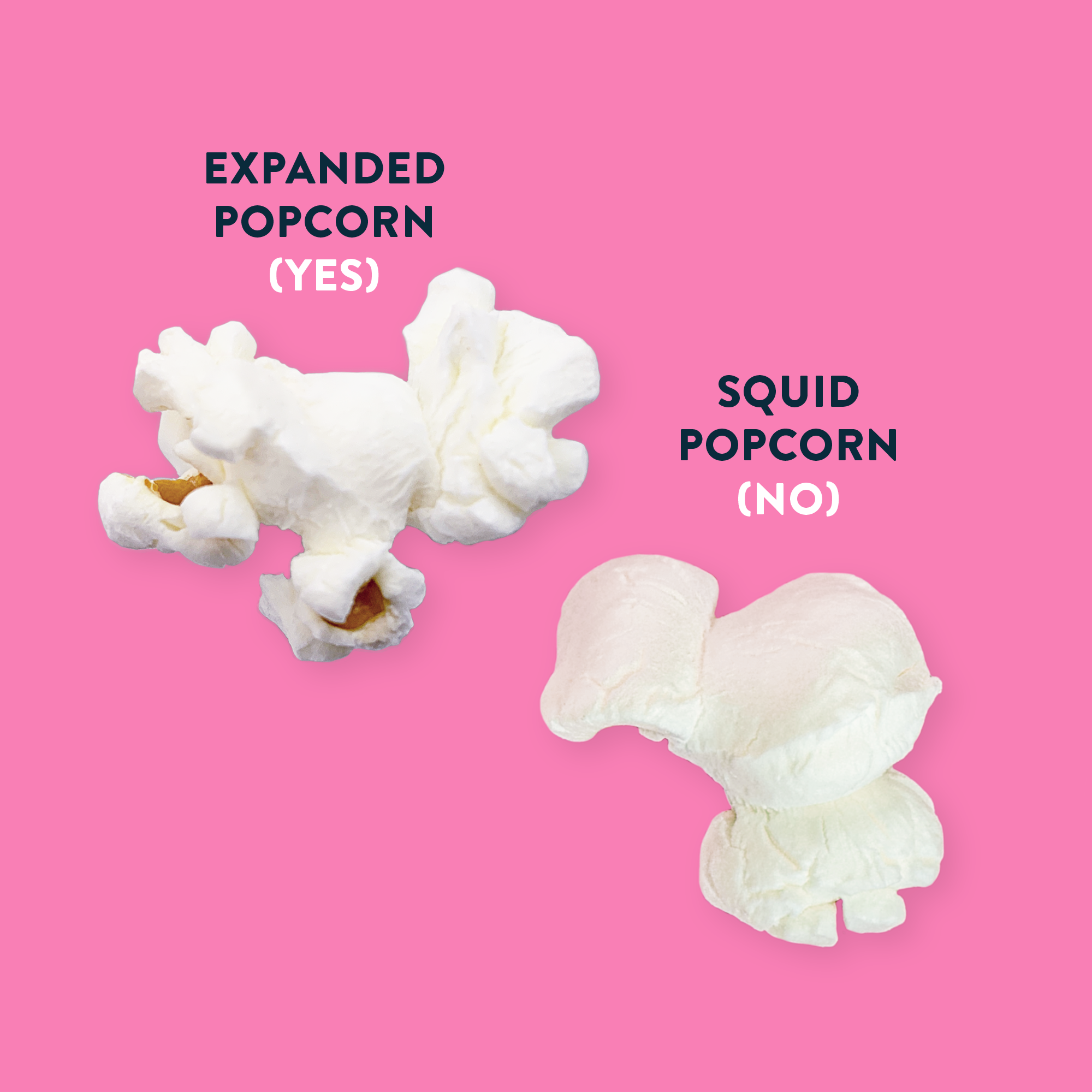 illustration of expanded popcorn versus squid popcorn